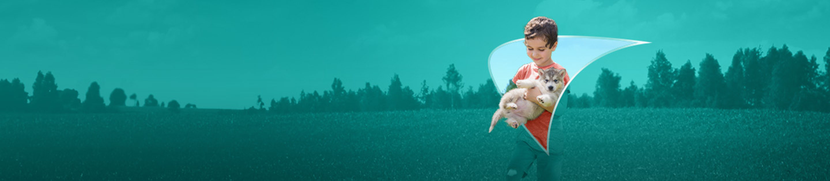 Picture of a young boy holding a dog. A liver shape appears behind him.