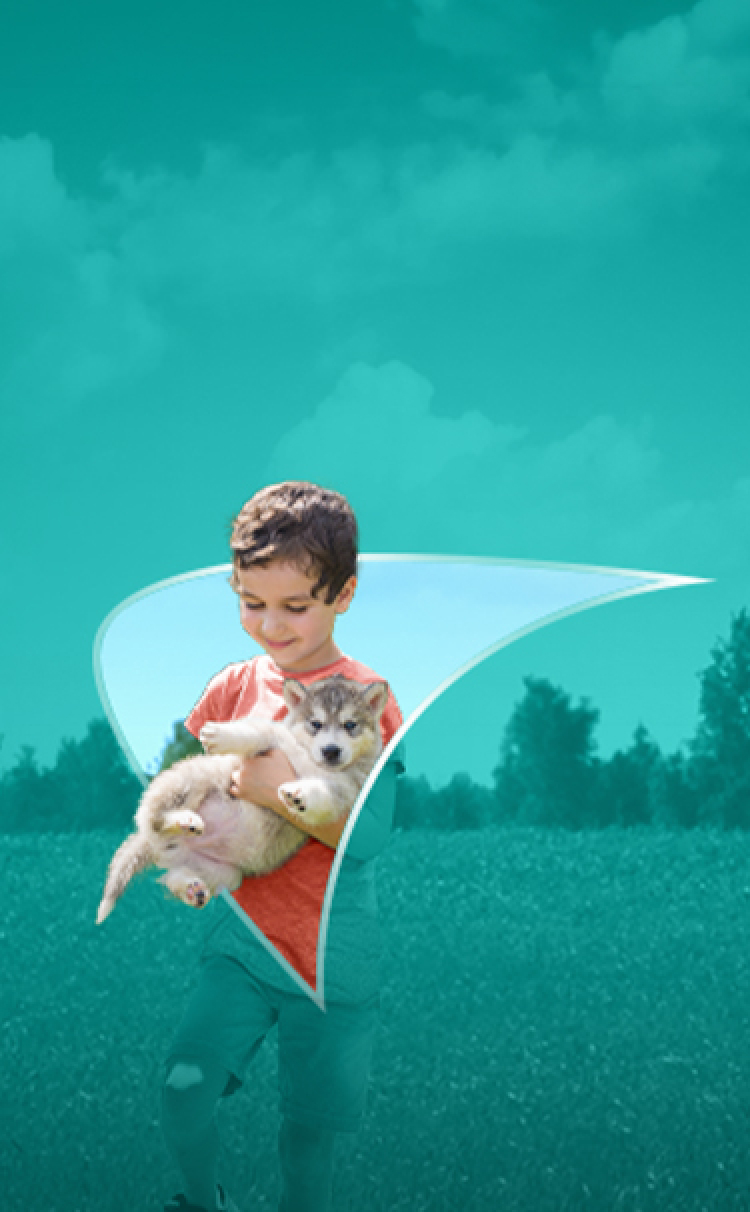 Picture of a young boy holding a dog. A liver shape appears behind him.